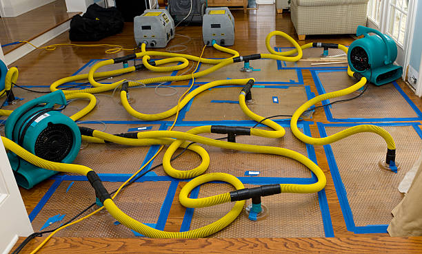 Professional Storm Water Damage Restoration technician working in Monticello, MN